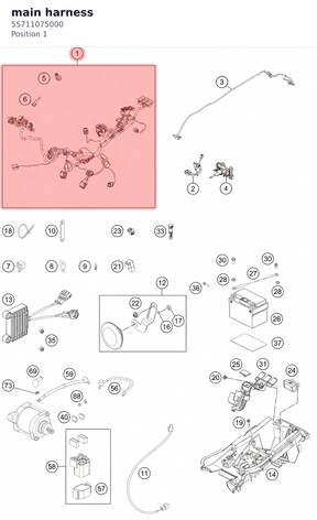 Diagram preview: main harness (55711075000)