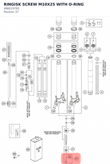 Diagram preview: RINGISK SCREW M10X25 WITH O-RING (48601976S)