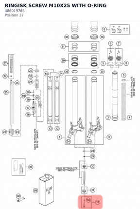 Diagram preview: RINGISK SCREW M10X25 WITH O-RING (48601976S)