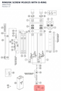 Diagram preview: RINGISK SCREW M10X25 WITH O-RING (48601976S)