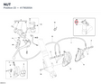 NUT 41790205A diagram position