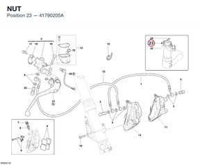 NUT 41790205A diagram position