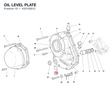 OIL LEVEL PLATE 43310281C diagram position