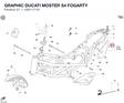 GRAPHIC DUCATI MOSTER S4 FOGARTY
