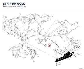 STRIP RH GOLD 43810651A diagram position