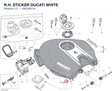 R.H. STICKER DUCATI WHITE 43819521A diagram position