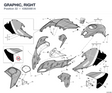 GRAPHIC, RIGHT 43820061A diagram position