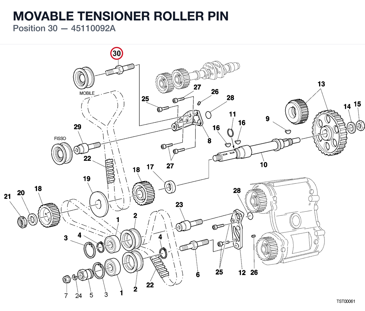 MOVABLE TENSIONER ROLLER PIN