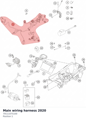 Diagram preview: Main wiring harness 2020 (79111075100)