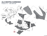ALA DESTRA CARBONIO
