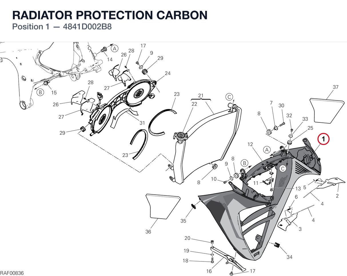 RADIATOR PROTECTION CARBON