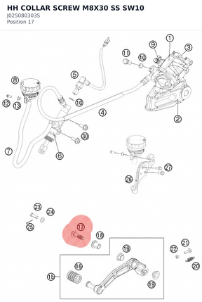Diagram preview: HH COLLAR SCREW M8X30 SS SW10 (J025080303S)