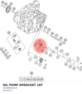Diagram preview: OIL PUMP SPROCKET 19T (79438001019)