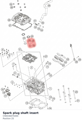 Diagram preview: Spark plug shaft insert (C90036075000)