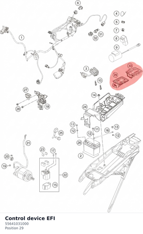 Diagram preview: Control device EFI (55641031000)