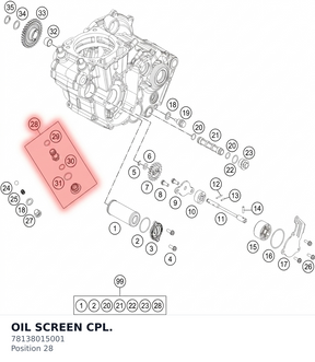 Diagram preview: OIL SCREEN CPL. (78138015001)