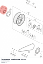 Diagram preview: Torx round head screw M8x20 (A61809008020)