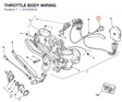 THROTTLE BODY WIRING