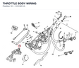 THROTTLE BODY WIRING