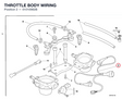 THROTTLE BODY WIRING