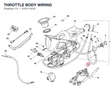 THROTTLE BODY WIRING