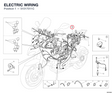 ELECTRIC WIRING 51017011C diagram position