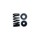 VALVE SPRING KIT            09