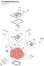 Diagram preview: CYLINDER HEAD CPL. (79236120044)