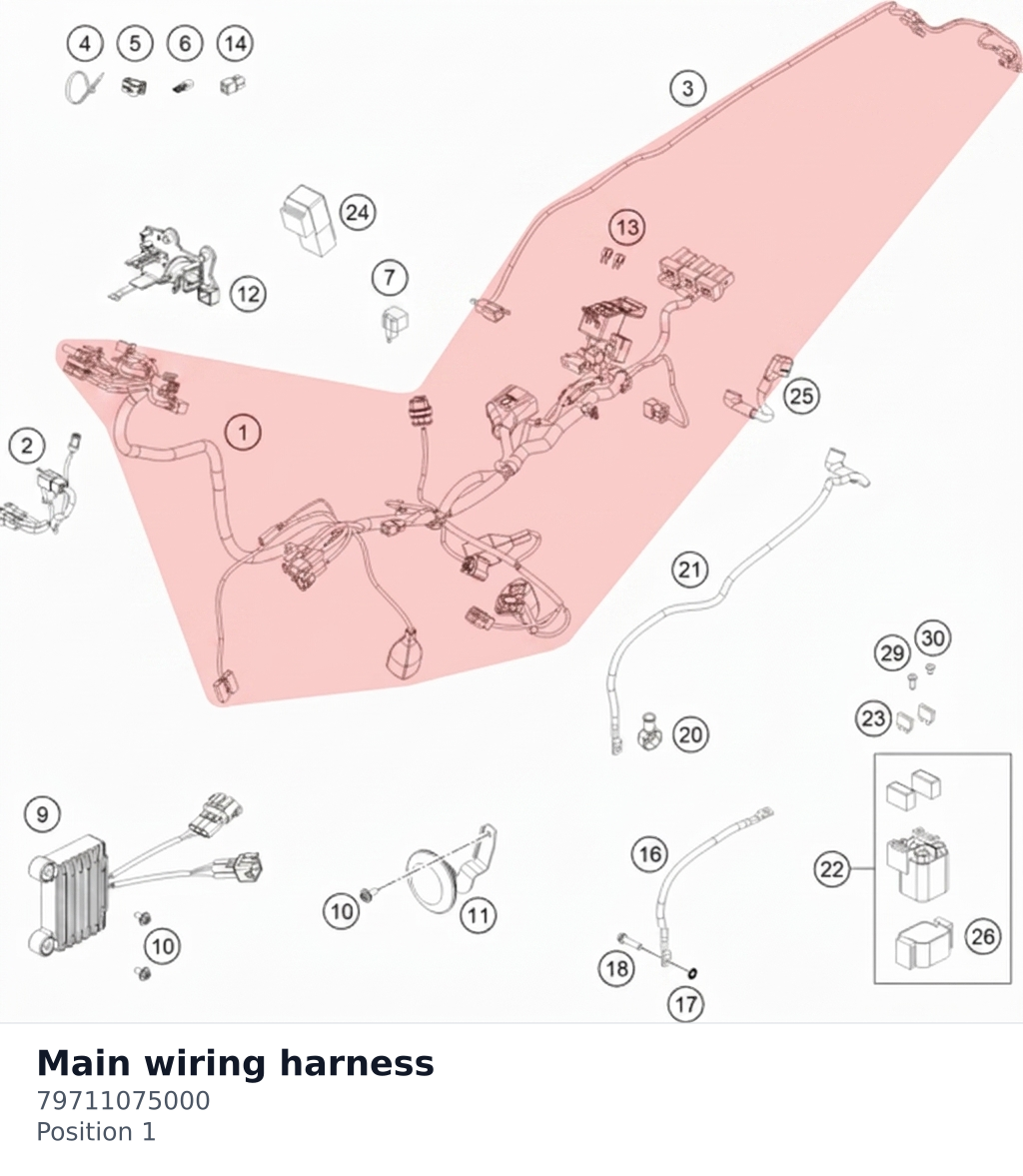 Diagram preview: Main wiring harness (79711075000)