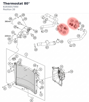 Diagram preview: Thermostat 80° (61935017000)