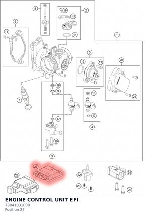 Diagram preview: ENGINE CONTROL UNIT EFI (79041031000)
