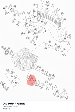 Diagram preview: OIL PUMP GEAR (79438001019M03)