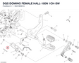 DQS DOMINO FEMALE HALL-180N 1CH-SW 5521B561A diagram position