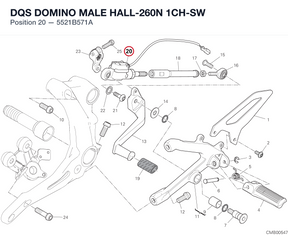 DQS DOMINO MALE HALL-260N 1CH-SW 5521B571A diagram position