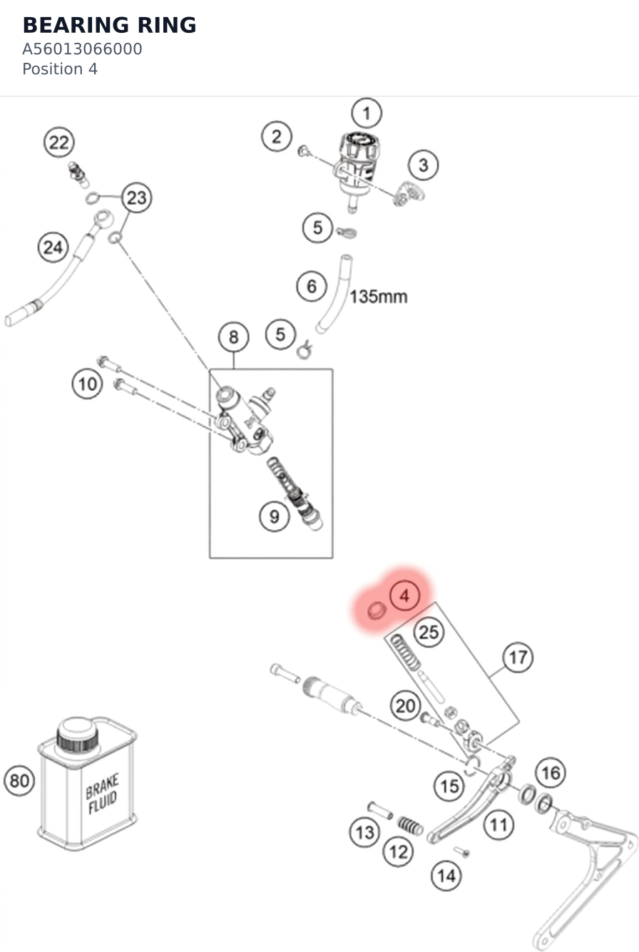 Diagram preview: BEARING RING (A56013066000)