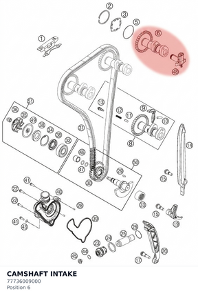 Diagram preview: CAMSHAFT INTAKE (77736009000)