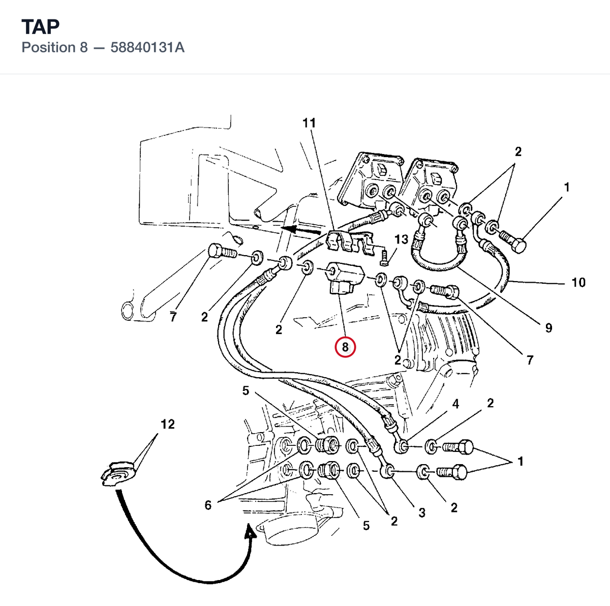 TAP