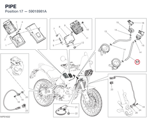 PIPE 59018981A diagram position