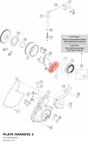 Diagram preview: PLATE HARNESS 2 (93730059000)