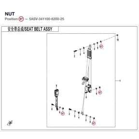 NUT product image