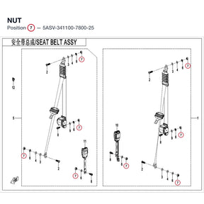 NUT product image