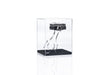 PISTONE GP20 (Memorabilia) 987712407