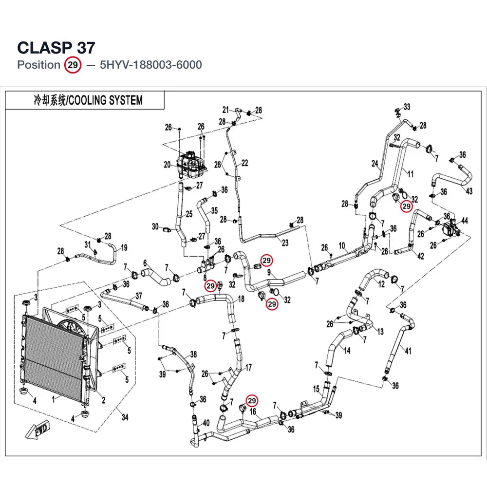 CLASP 37 product image