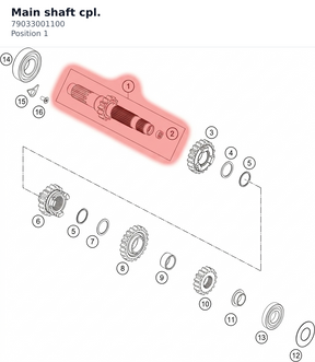 Diagram preview: Main shaft cpl. (79033001100)