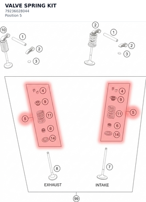 Diagram preview: VALVE SPRING KIT (79236028044)