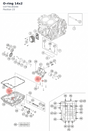 Diagram preview: O-ring 14x2 (C0770140200)