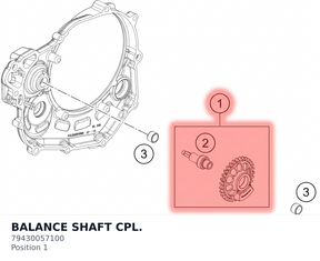 Diagram preview: BALANCE SHAFT CPL. (79430057100)