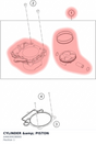 Diagram preview: CYLINDER &amp; PISTON (A46030038000)