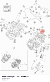Diagram preview: REDUCING JET ''30'' M6X0,75 (60038029200)