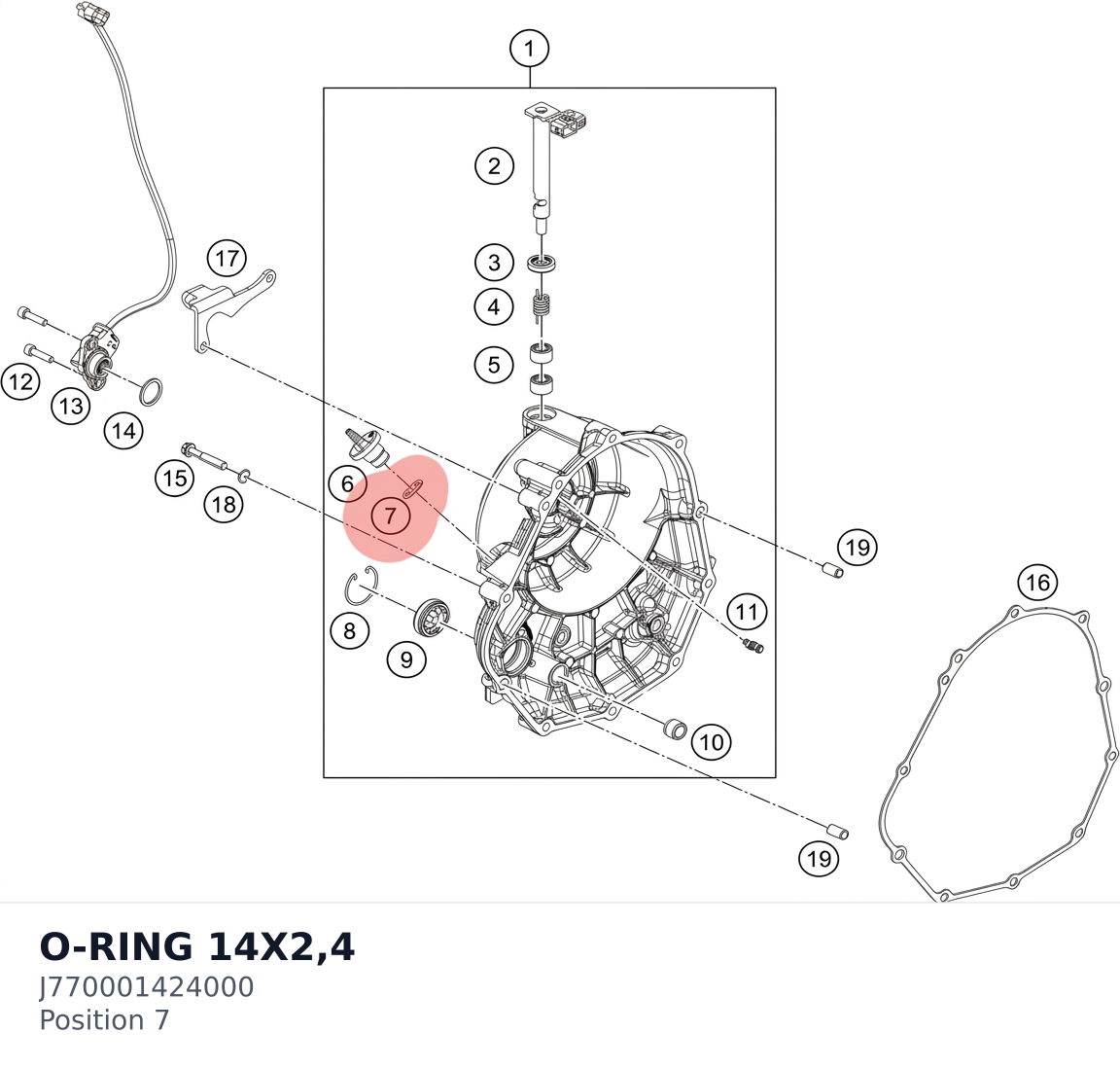 Diagram preview: O-RING 14X2,4 (J770001424000)